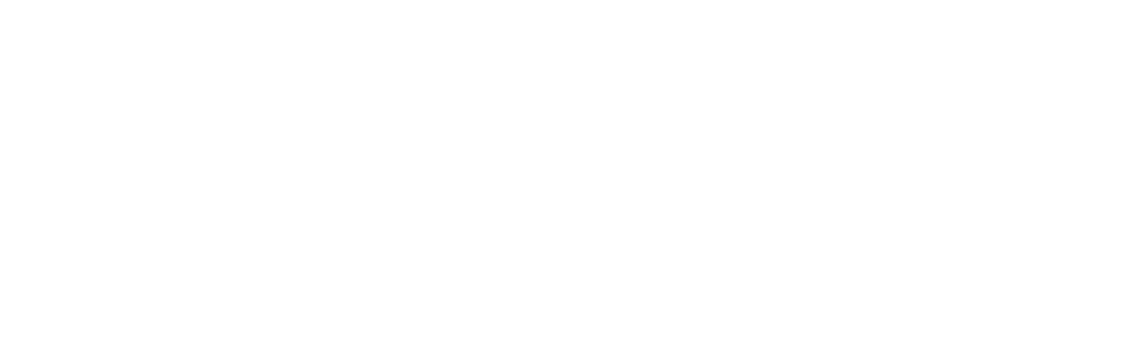 Flexico